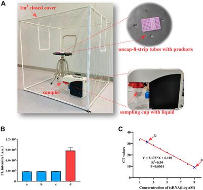 CRISPR-Cas and catalytic hairpin assembly technology for target-initiated amplification detection of pancreatic cancer specific tsRNAs